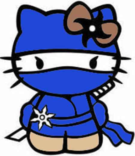 kitty ninja